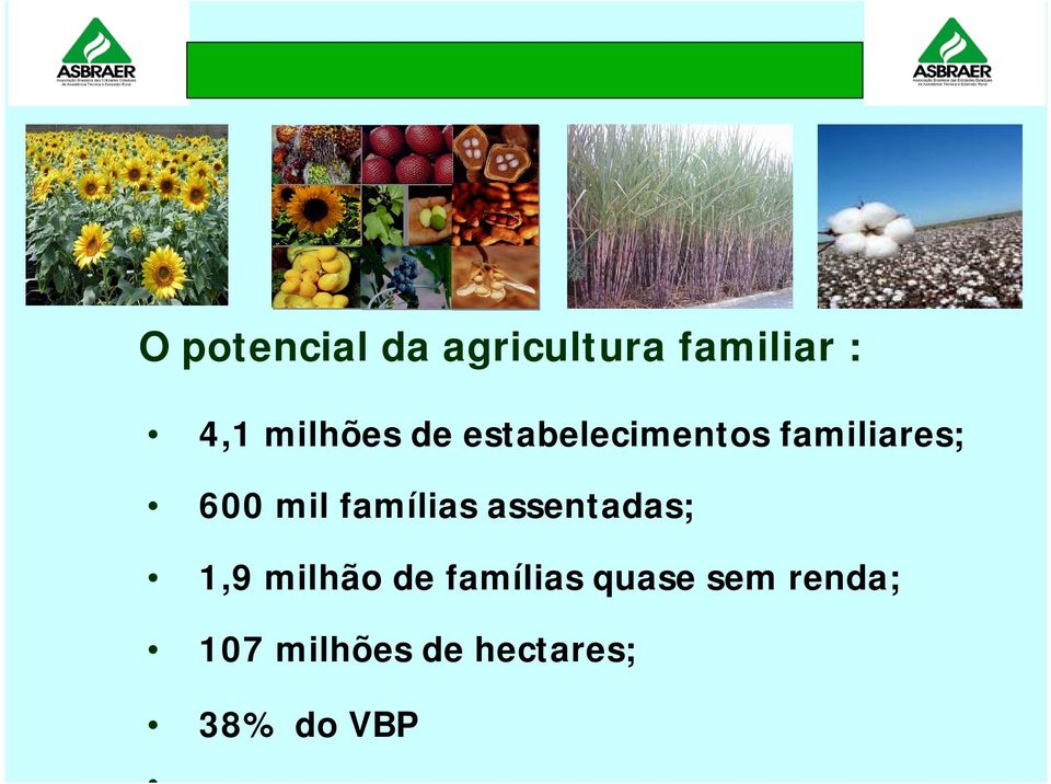 mil famílias assentadas; 1,9 milhão de