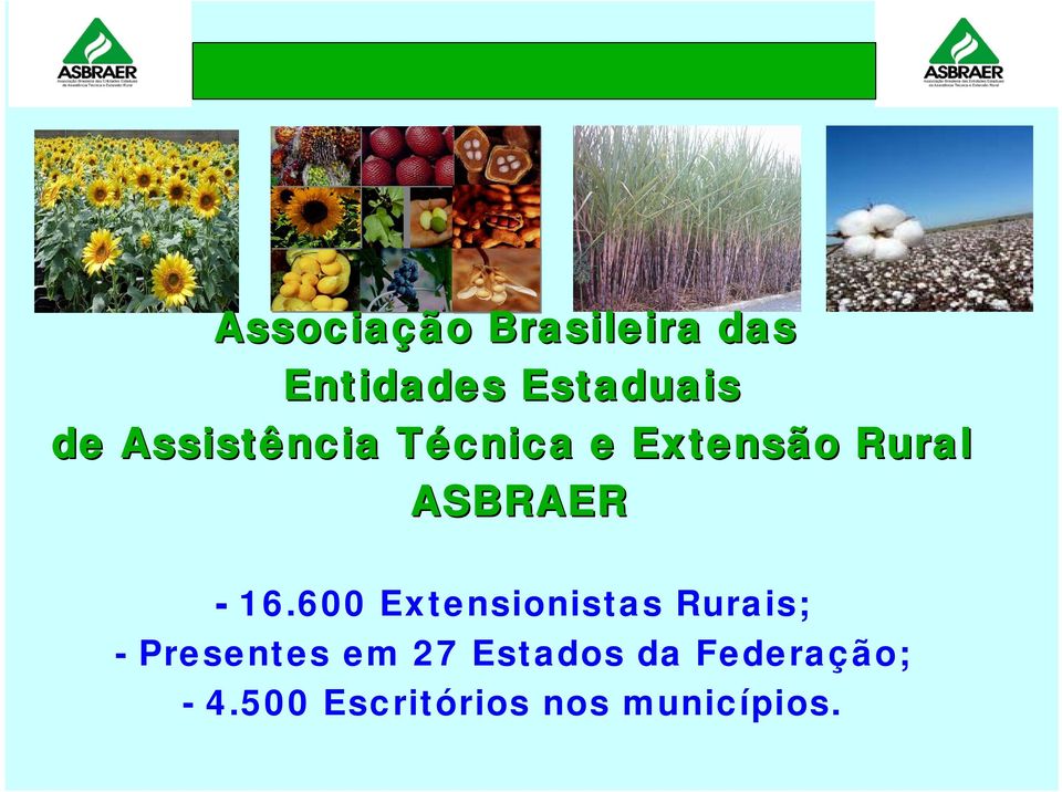 16.600 Extensionistas Rurais; - Presentes em 27