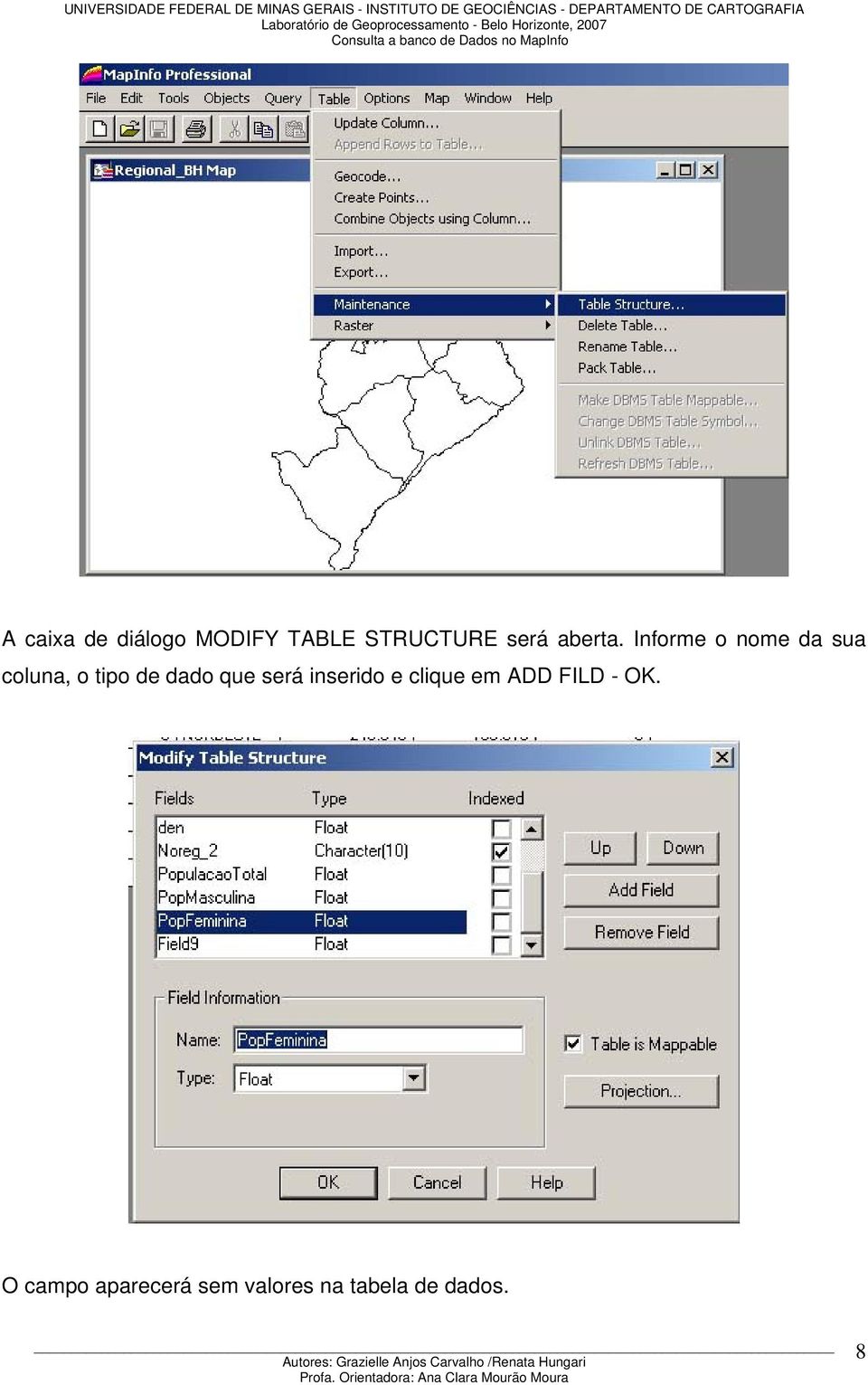 Informe o nome da sua coluna, o tipo de dado que