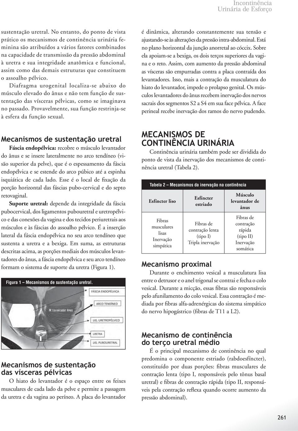 integridade anatômica e funcional, assim como das demais estruturas que constituem o assoalho pélvico.