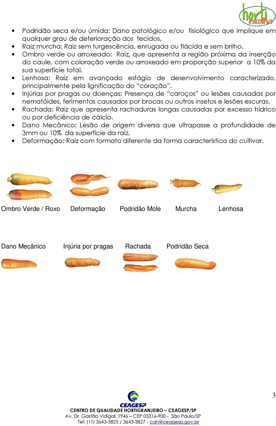 Lenhosa: Raiz em avançado estágio de desenvolvimento caracterizado, principalmente pela lignificação do coração.