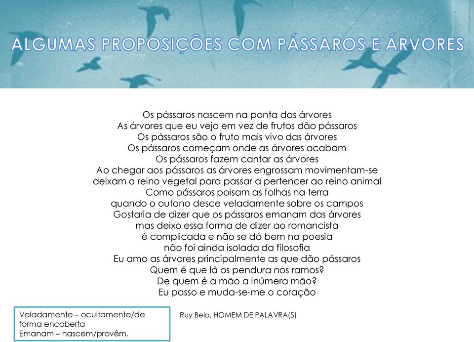 desce veladamente sobre os campos Gostaria de dizer que os pássaros emanam das árvores mas deixo essa forma de dizer ao romancista é complicada e não se dá bem na poesia não foi ainda isolada da