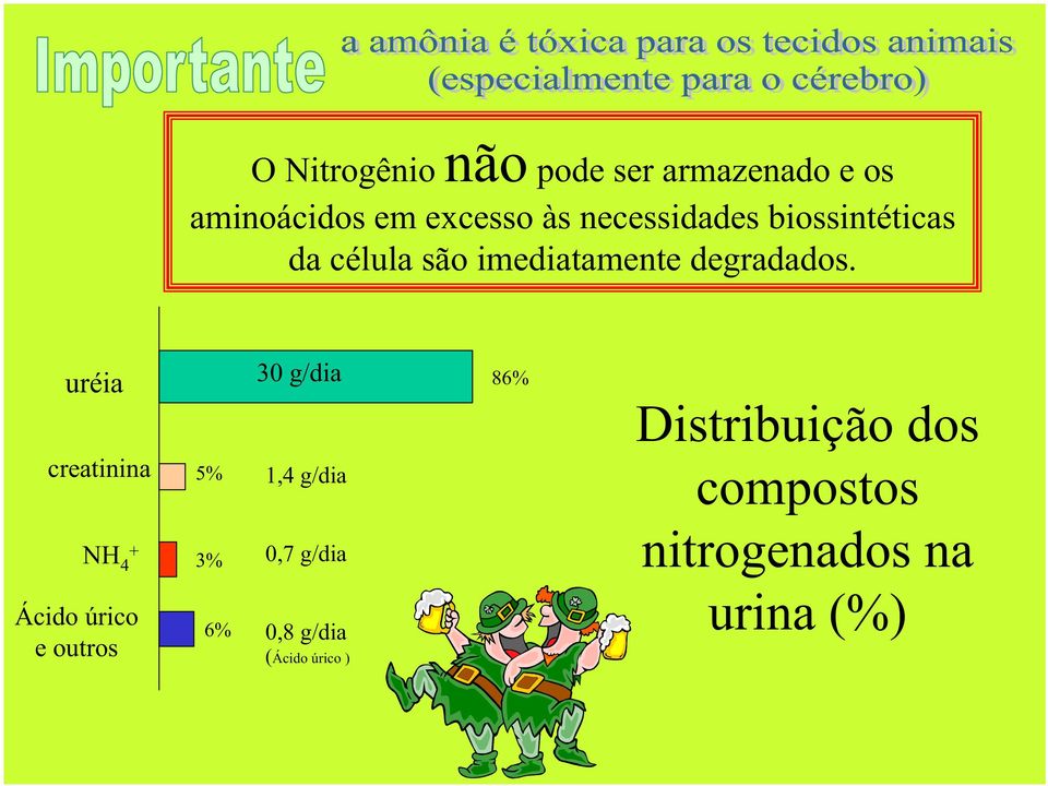 uréia 30 g/dia 86% creatinina NH 4 + Ácido úrico e outros 5% 3% 6% 1,4