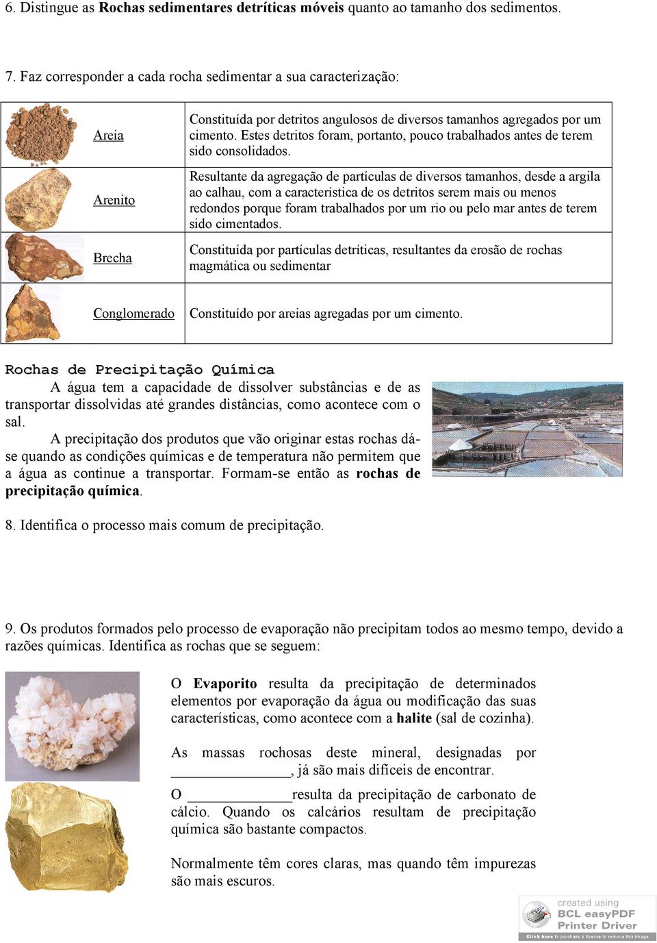 Estes detritos foram, portanto, pouco trabalhados antes de terem sido consolidados.