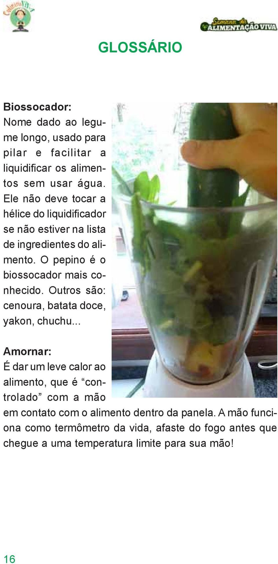 O pepino é o biossocador mais conhecido. Outros são: cenoura, batata doce, yakon, chuchu.