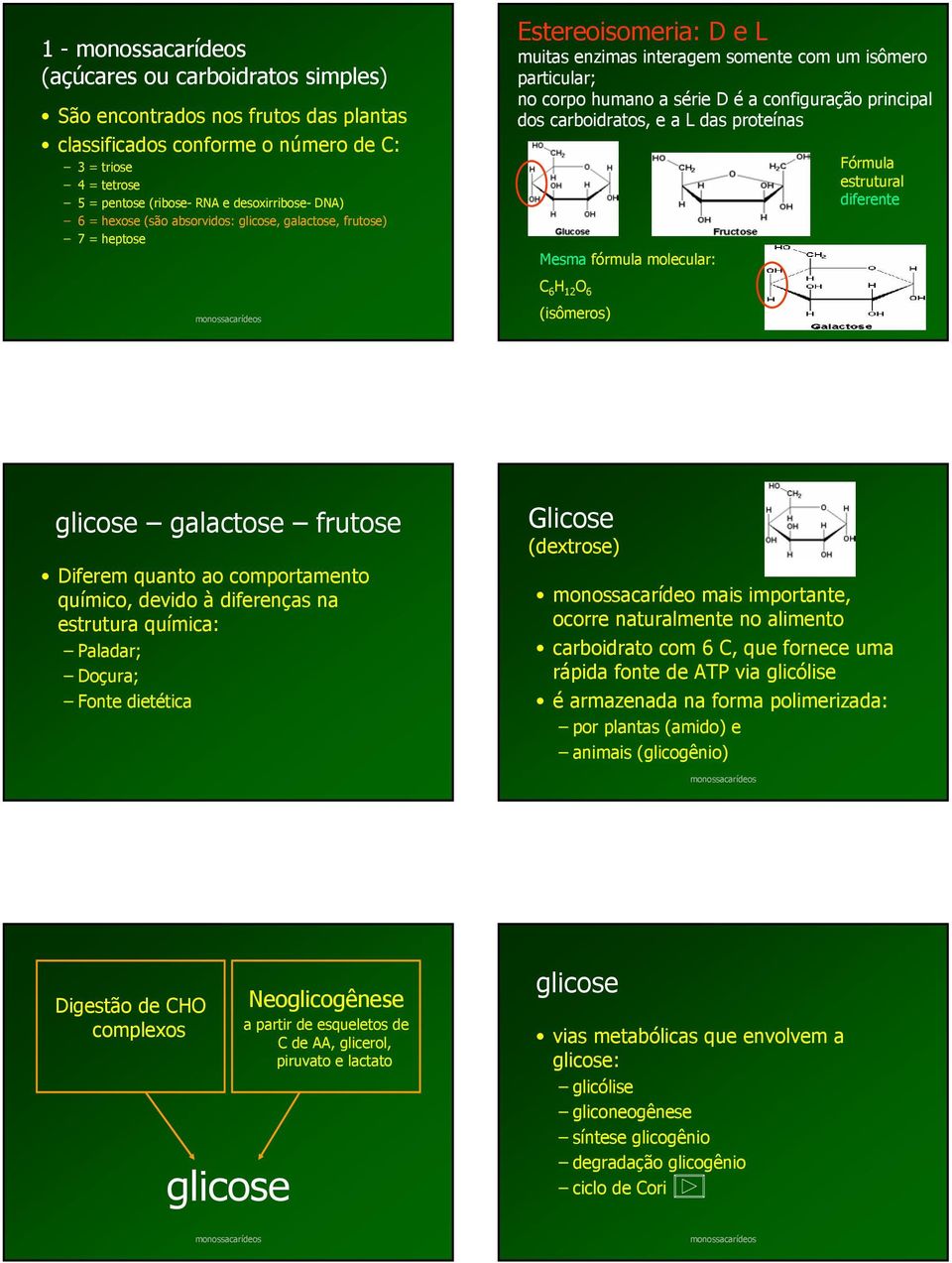 configuração principal dos carboidratos, e a L das proteínas Mesma fórmula molecular: C 6 H 12 O 6 (isômeros) Fórmula estrutural diferente galactose frutose Diferem quanto ao comportamento químico,