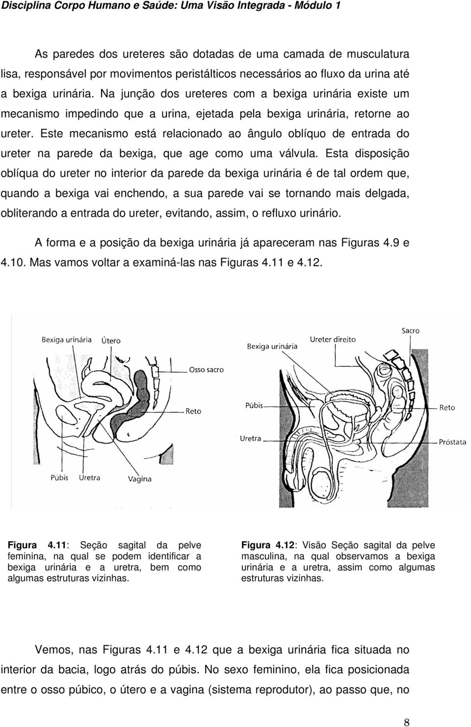 Este mecanismo está relacionado ao ângulo oblíquo de entrada do ureter na parede da bexiga, que age como uma válvula.