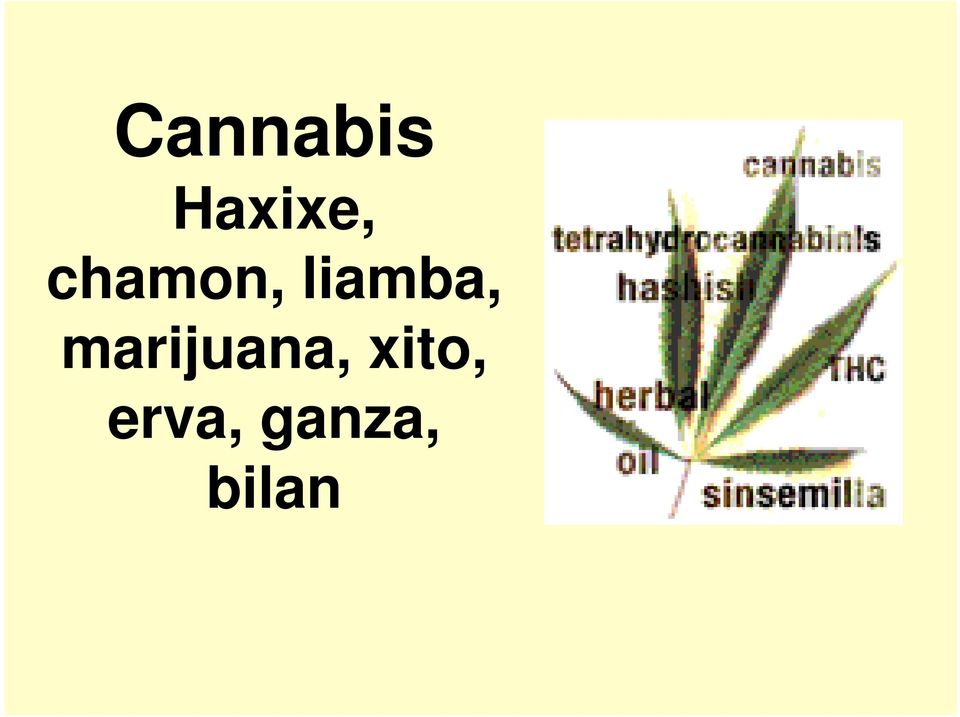 marijuana, xito,