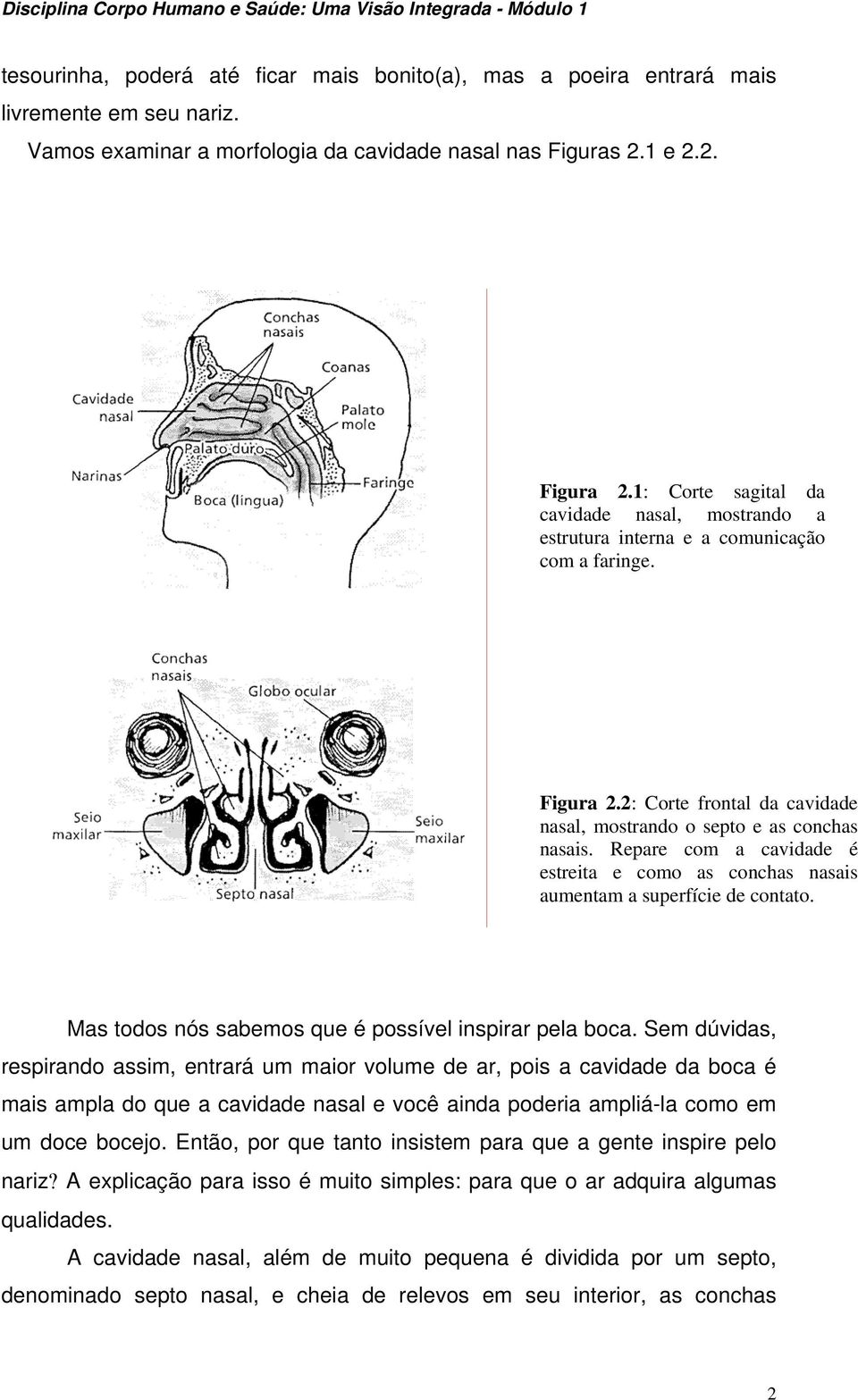 Repare com a cavidade é estreita e como as conchas nasais aumentam a superfície de contato. Mas todos nós sabemos que é possível inspirar pela boca.