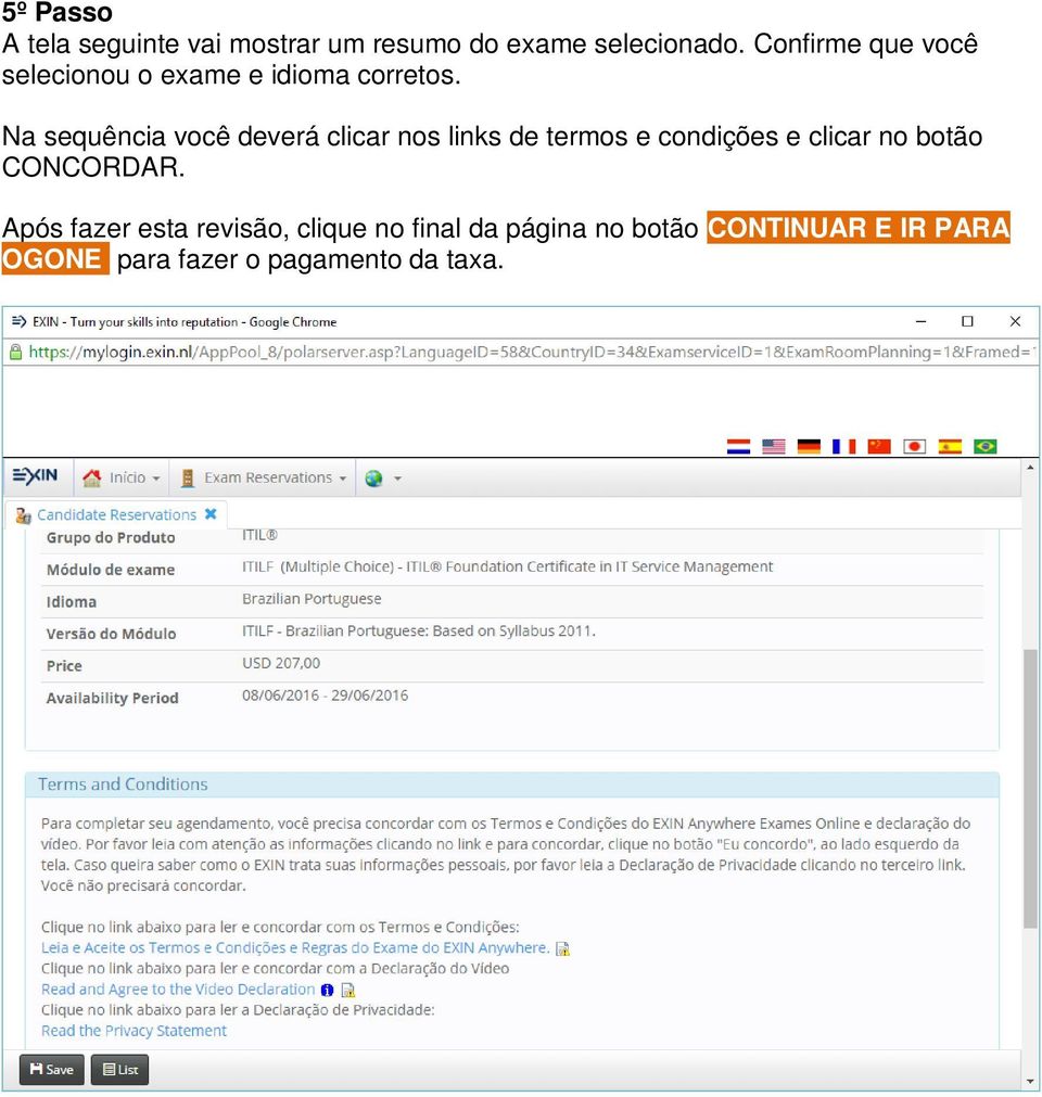 Na sequência você deverá clicar nos links de termos e condições e clicar no botão