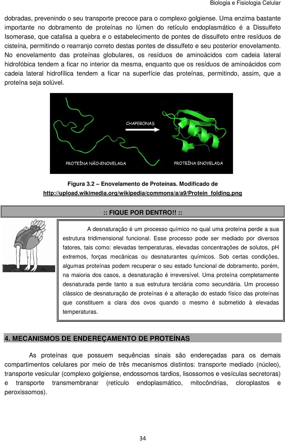 resíduos de cisteína, permitindo o rearranjo correto destas pontes de dissulfeto e seu posterior enovelamento.