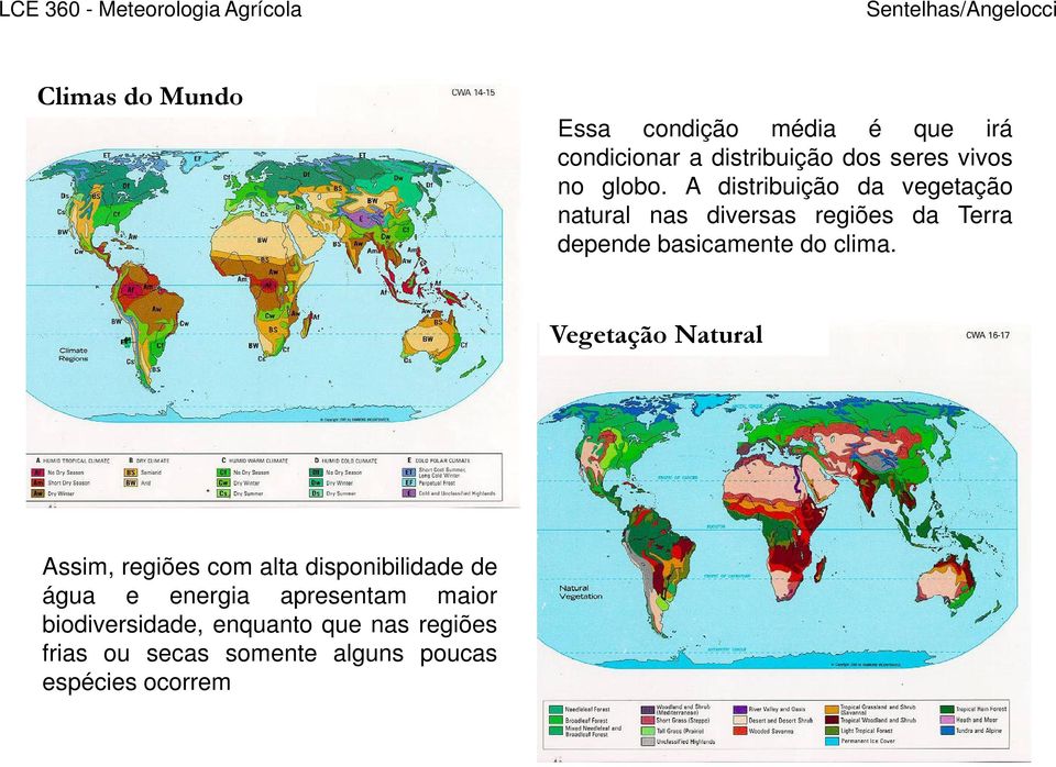 A distribuição da vegetação natural nas diversas regiões da Terra depende basicamente do clima.