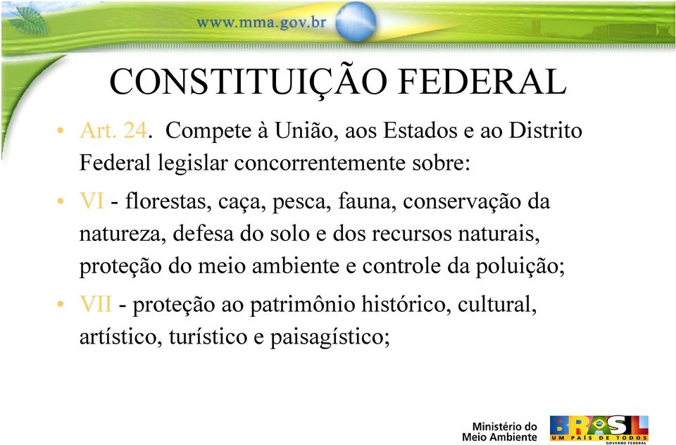 - florestas, caça, pesca, fauna, conservação da natureza, defesa do solo e dos recursos