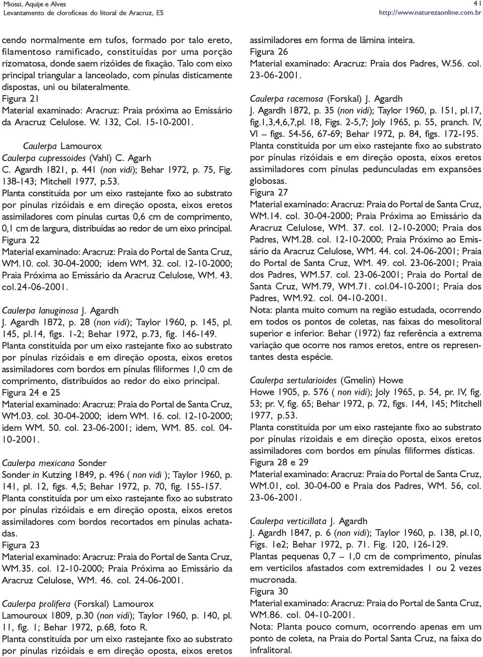 132, Col. 15-10-2001. Caulerpa Lamourox Caulerpa cupressoides (Vahl) C. Agarh C. Agardh 1821, p. 441 (non vidi); Behar 1972, p. 75, Fig. 138-143; Mitchell 1977, p.53.