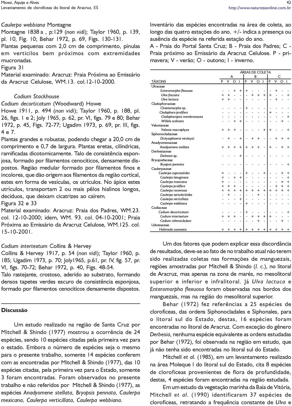 13. col.12-10-2000. Codium Stackhouse Codium decorticatum (Woodward) Howe Howe 1911, p. 494 (non vidi); Taylor 1960, p. 188, pl. 26, figs. 1 e 2; Joly 1965, p. 62, pr. VI, figs.