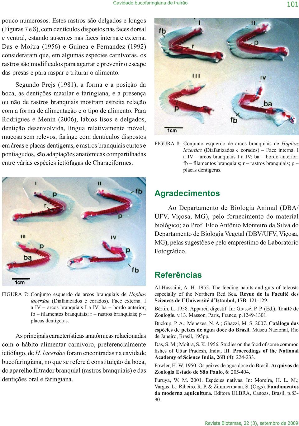 Das e Moitra (1956) e Guinea e Fernandez (1992) consideraram que, em algumas espécies carnívoras, os rastros são modificados para agarrar e prevenir o escape das presas e para raspar e triturar o