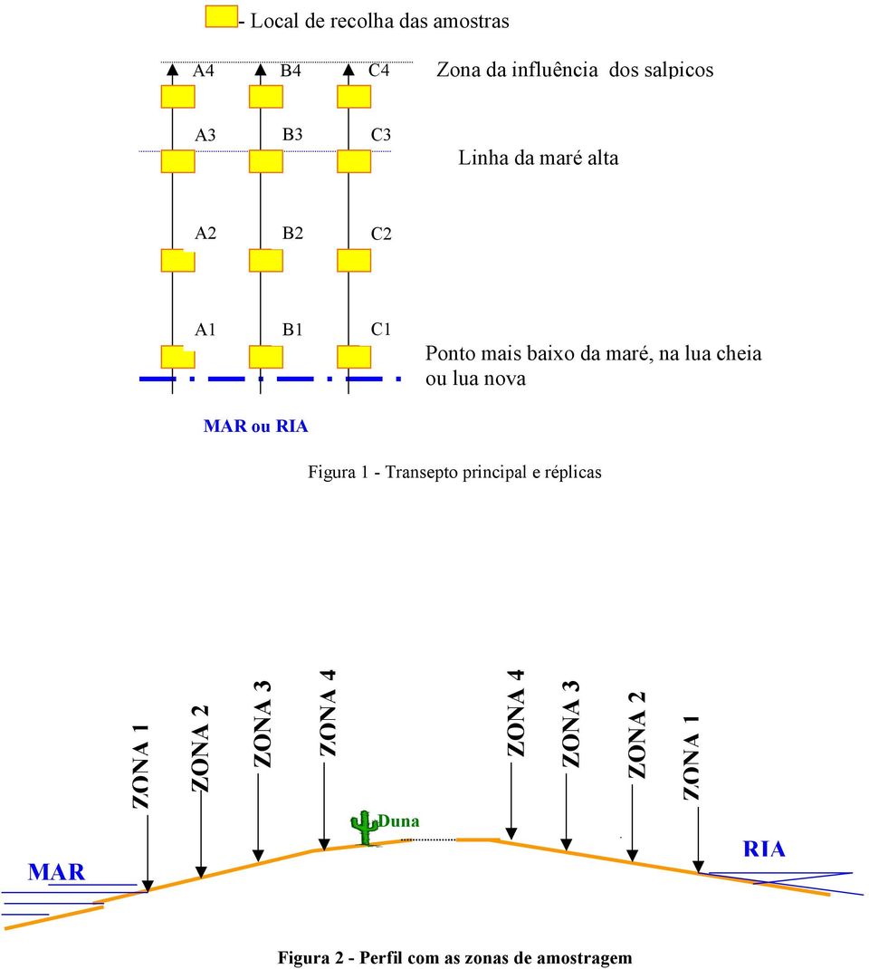 nova MAR ou RIA Figura 1 - Transepto principal e réplicas MAR ZONA 1 ZONA 2 ZONA 3