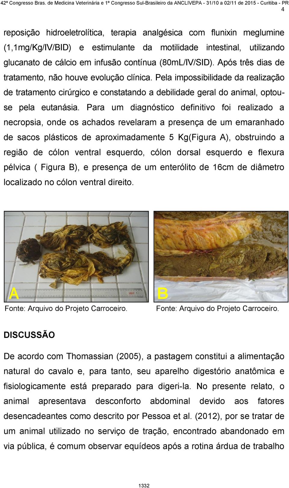 Para um diagnóstico definitivo foi realizado a necropsia, onde os achados revelaram a presença de um emaranhado de sacos plásticos de aproximadamente 5 Kg(Figura A), obstruindo a região de cólon