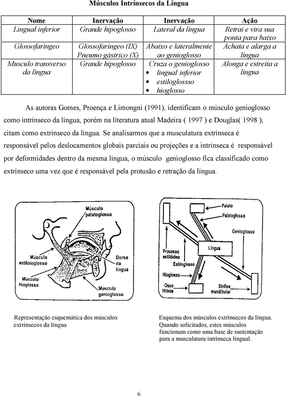 a língua As autoras Gomes, Proença e Limongni (1991), identificam o músculo genioglosso como intrínseco da língua, porém na literatura atual Madeira ( 1997 ) e Douglas( 1998 ), citam como extrínseco