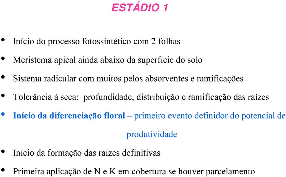 ramificação das raízes Início da diferenciação floral primeiro evento definidor do potencial de