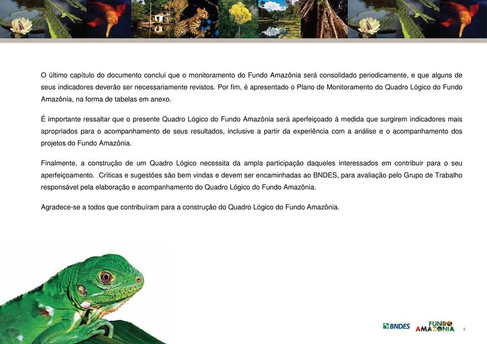 É importante ressaltar que o presente Quadro Lógico do Fundo Amazônia será aperfeiçoado à medida que surgirem indicadores mais apropriados para o acompanhamento de seus resultados, inclusive a partir