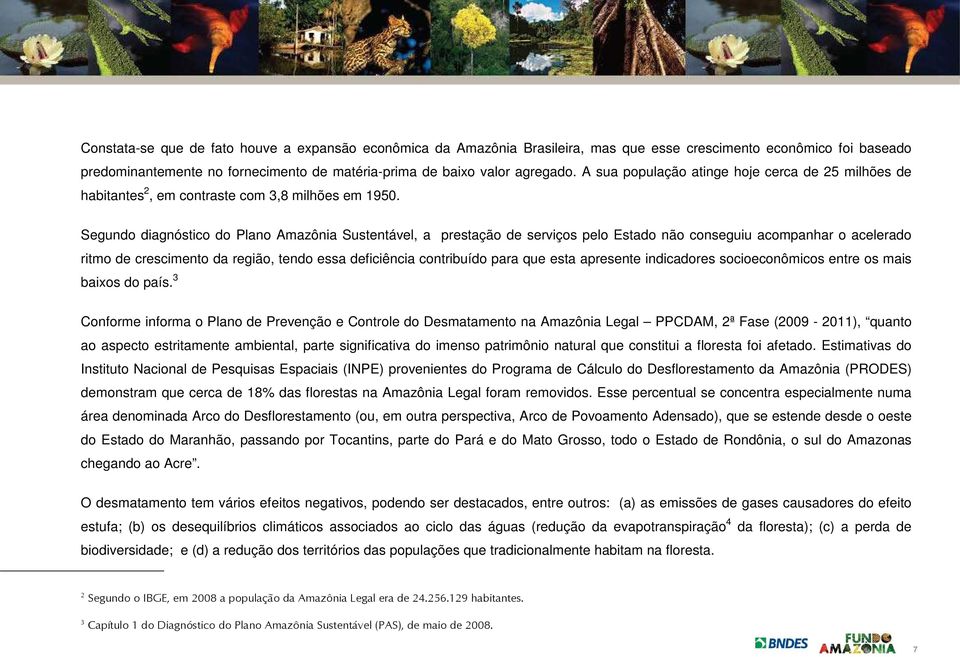 Segundo diagnóstico do Plano Amazônia Sustentável, a prestação de serviços pelo Estado não conseguiu acompanhar o acelerado ritmo de crescimento da região, tendo essa deficiência contribuído para que