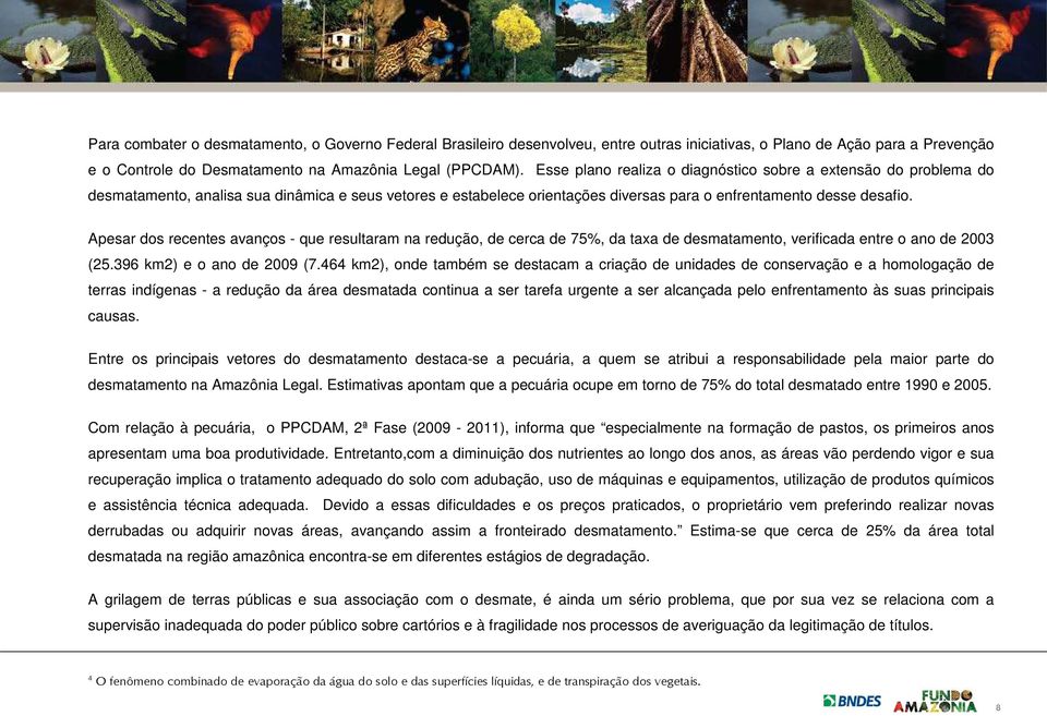 Apesar dos recentes avanços - que resultaram na redução, de cerca de 75%, da taxa de desmatamento, verificada entre o ano de 2003 (25.396 km2) e o ano de 2009 (7.