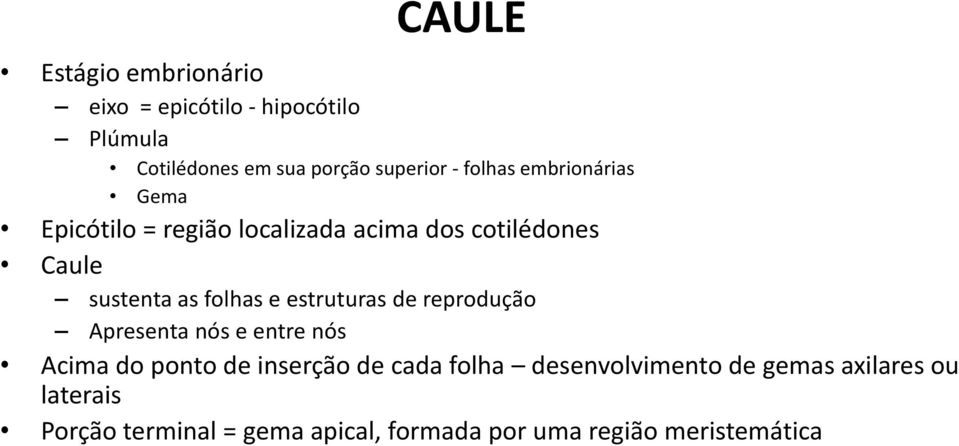 e estruturas de reprodução Apresenta nós e entre nós Acima do ponto de inserção de cada folha