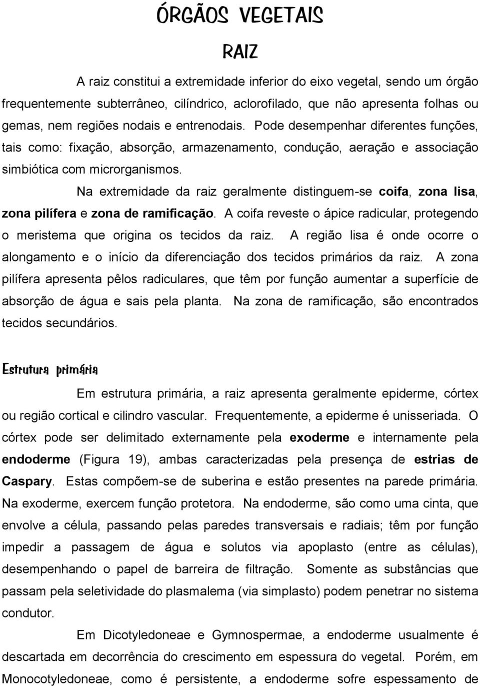 Na extremidade da raiz geralmente distinguem-se coifa, zona lisa, zona pilífera e zona de ramificação. A coifa reveste o ápice radicular, protegendo o meristema que origina os tecidos da raiz.