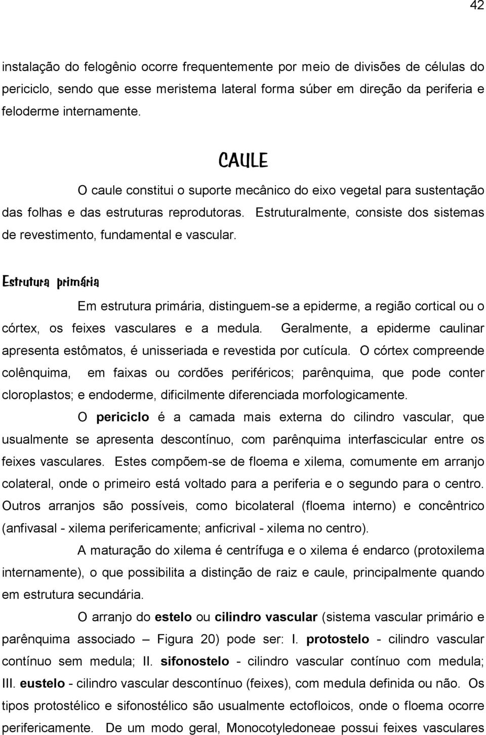 Estrutura primária Em estrutura primária, distinguem-se a epiderme, a região cortical ou o córtex, os feixes vasculares e a medula.