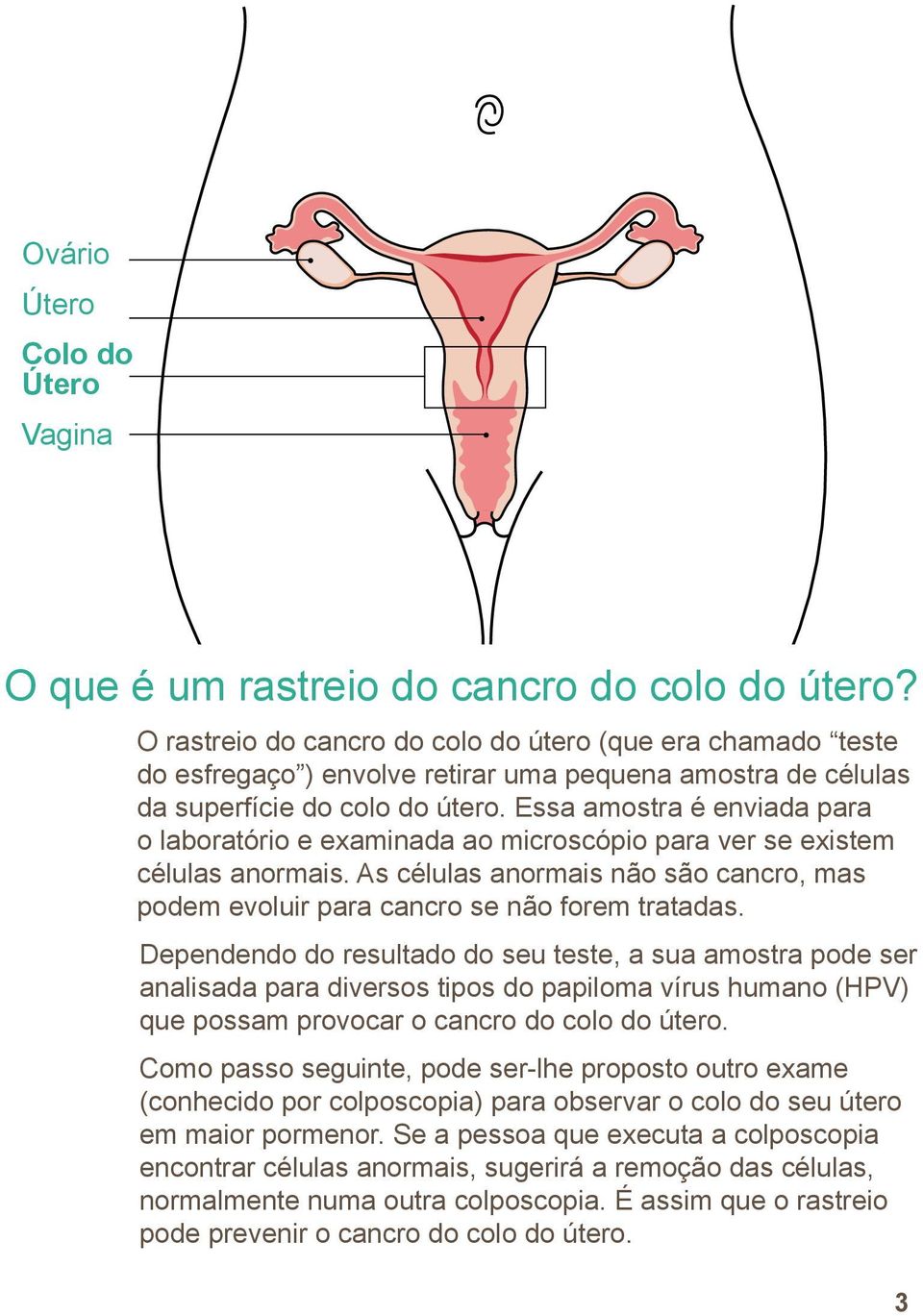 Essa amostra é enviada para o laboratório e examinada ao microscópio para ver se existem células anormais. As células anormais não são cancro, mas podem evoluir para cancro se não forem tratadas.