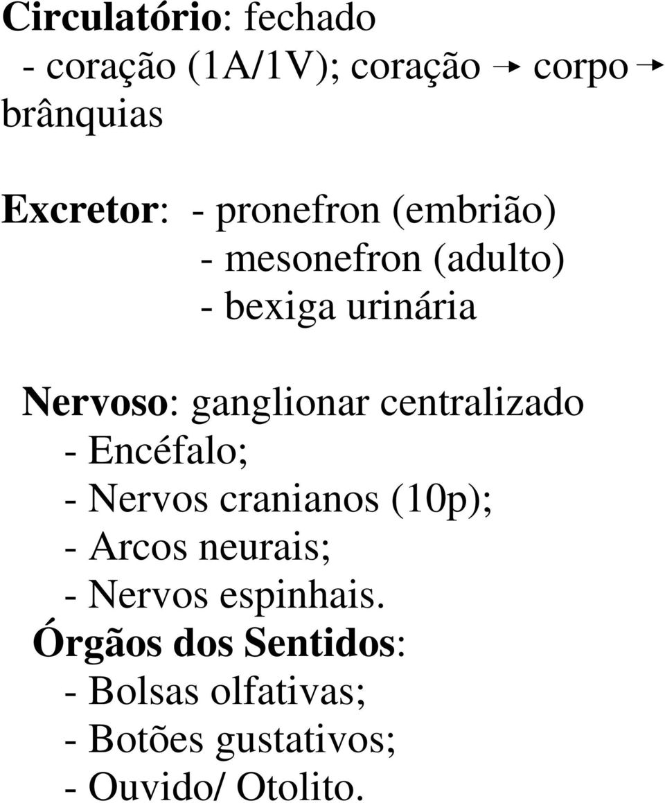 centralizado - Encéfalo; - Nervos cranianos (10p); - Arcos neurais; - Nervos