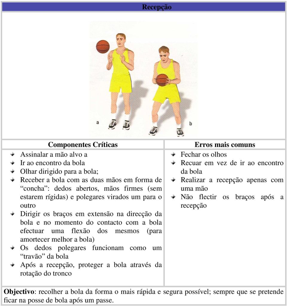 dedos polegares funcionam como um travão da bola Após a recepção, proteger a bola através da rotação do tronco Fechar os olhos Recuar em vez de ir ao encontro da bola Realizar a recepção