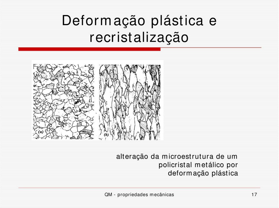 microestrutura de um policristal