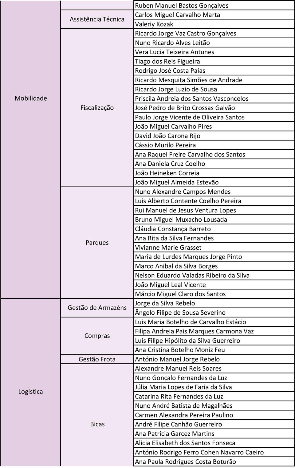 Priscila Andreia dos Santos Vasconcelos José Pedro de Brito Crossas Galvão Paulo Jorge Vicente de Oliveira Santos João Miguel Carvalho Pires David João Carona Rijo Cássio Murilo Pereira Ana Raquel