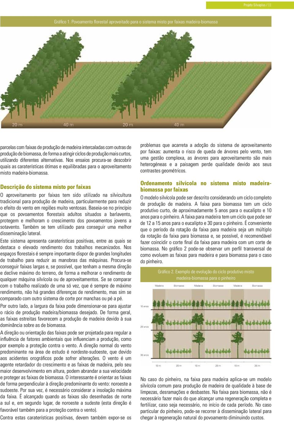 de produção mais curtos, utilizando diferentes alternativas. Nos ensaios procura-se descobrir quais as caraterísticas ótimas e equilibradas para o aproveitamento misto madeira-biomassa.