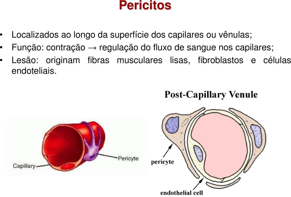 fluxo de sangue nos capilares; Lesão: originam