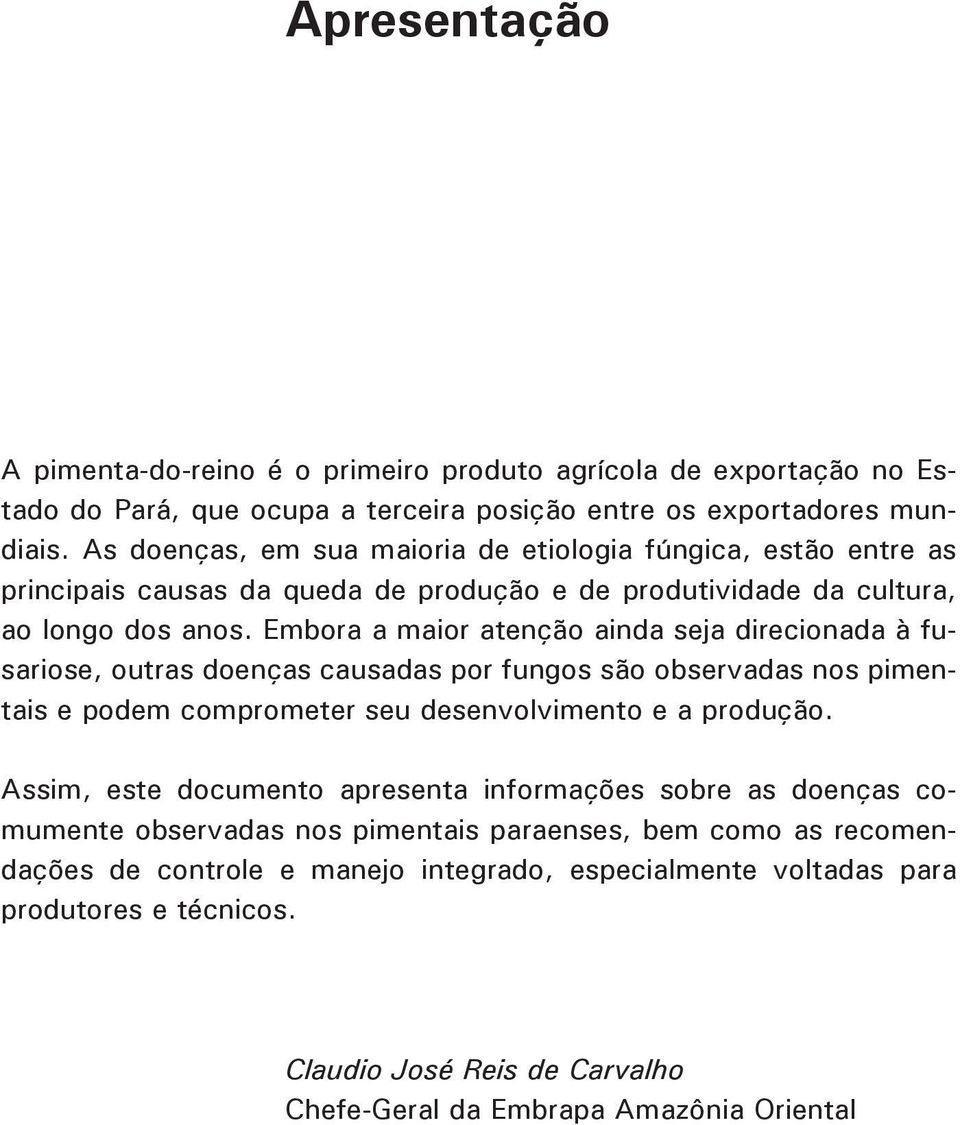 Embora a maior atenção ainda seja direcionada à fusariose, outras doenças causadas por fungos são observadas nos pimentais e podem comprometer seu desenvolvimento e a produção.