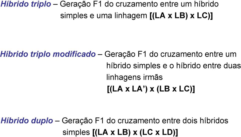 híbrido simples e o híbrido entre duas linhagens irmãs [(LA x LA ) x (LB x LC)]