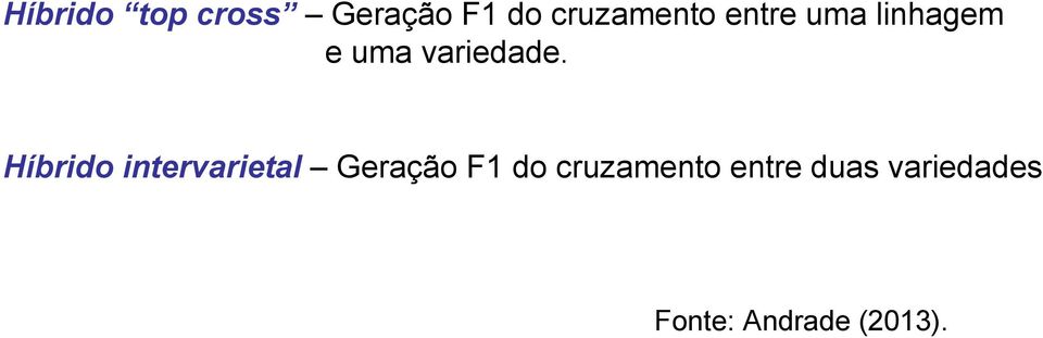 Híbrido intervarietal Geração F1 do