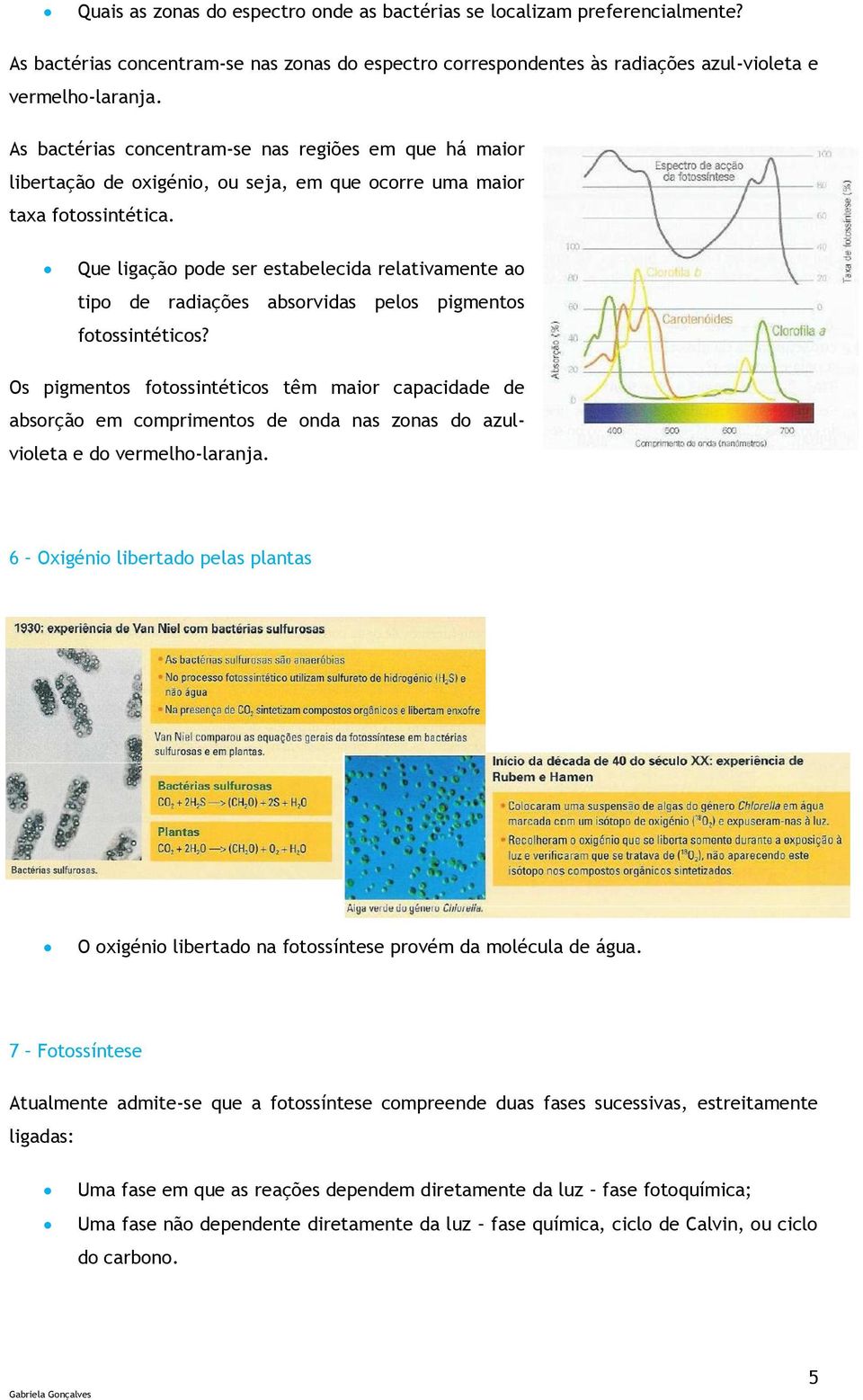 Que ligação pode ser estabelecida relativamente ao tipo de radiações absorvidas pelos pigmentos fotossintéticos?