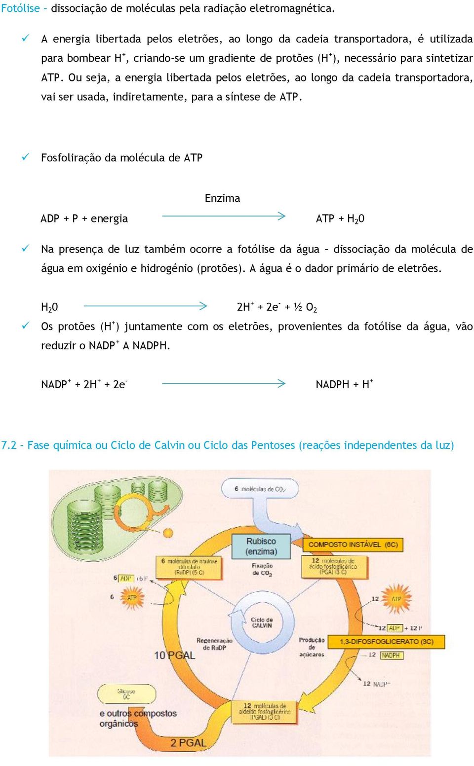 Ou seja, a energia libertada pelos eletrões, ao longo da cadeia transportadora, vai ser usada, indiretamente, para a síntese de ATP.