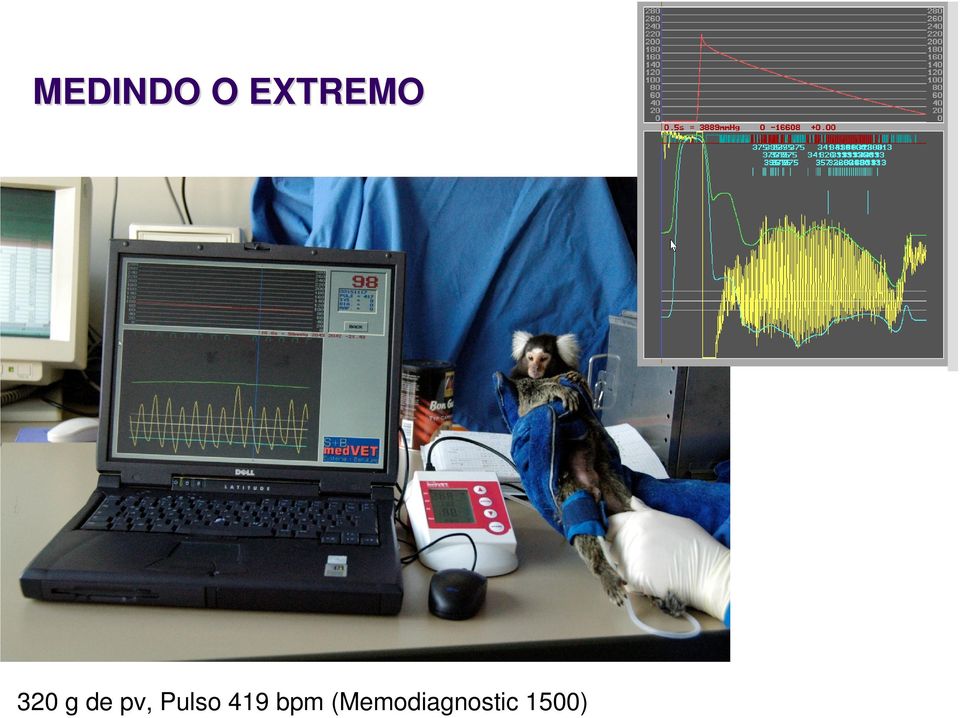 pv, Pulso 419