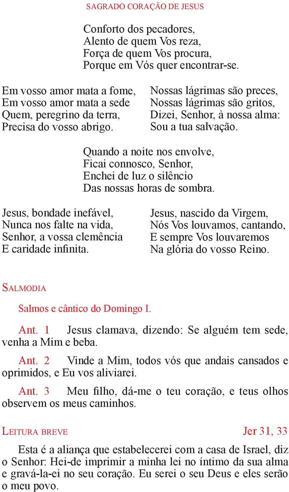 Nossas lágrimas são preces, Nossas lágrimas são gritos, Dizei, Senhor, à nossa alma: Sou a tua salvação.