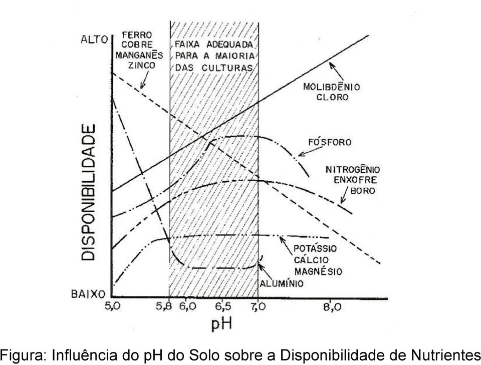 do Solo sobre a