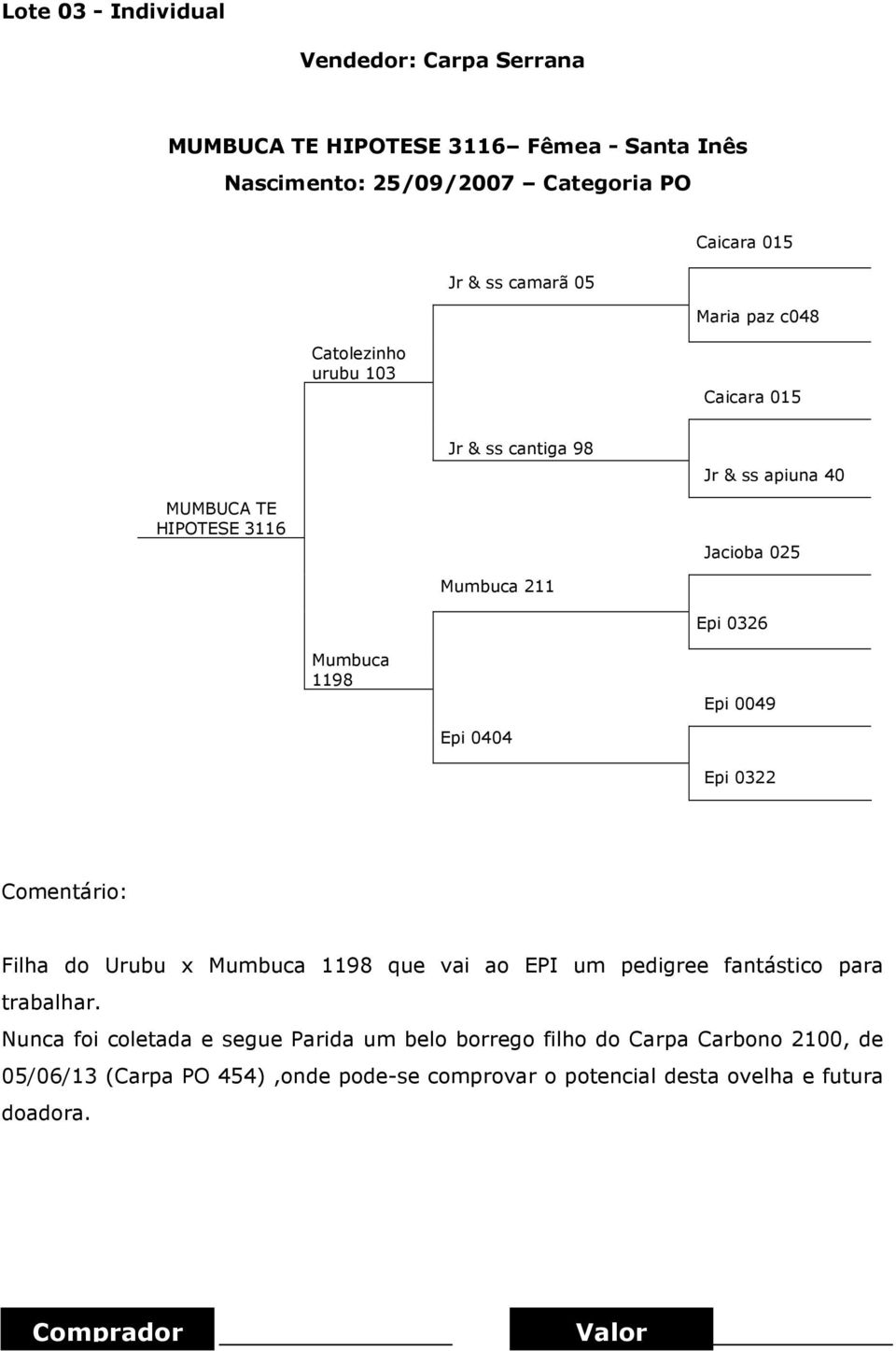 1198 Epi 0049 Epi 0404 Epi 0322 Filha do Urubu x Mumbuca 1198 que vai ao EPI um pedigree fantástico para trabalhar.