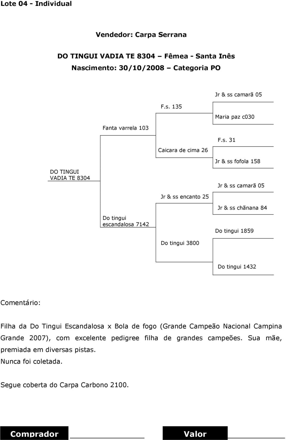 7142 Do tingui 1859 Do tingui 3800 Do tingui 1432 Filha da Do Tingui Escandalosa x Bola de fogo (Grande Campeão Nacional Campina Grande 2007), com