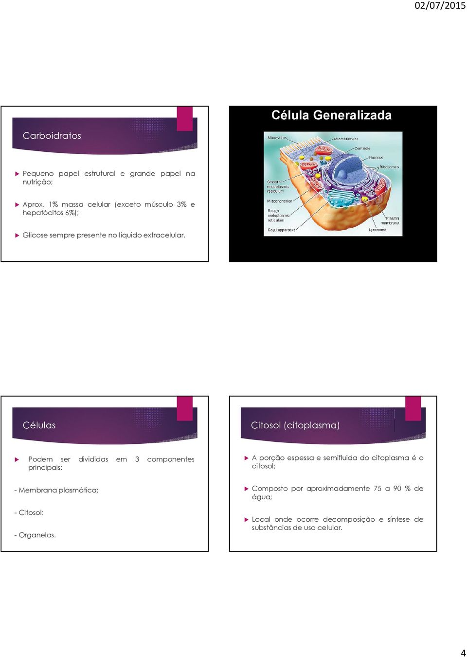 Células Citosol (citoplasma) Podem ser divididas em 3 componentes principais: A porção espessa e semifluida do citoplasma é