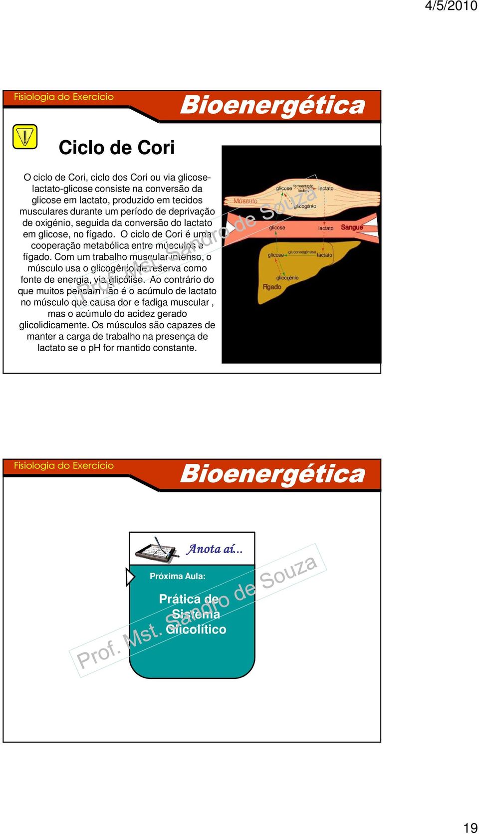 Com um trabalho muscular intenso, o músculo usa o glicogênio de reserva como fonte de energia, via glicólise.