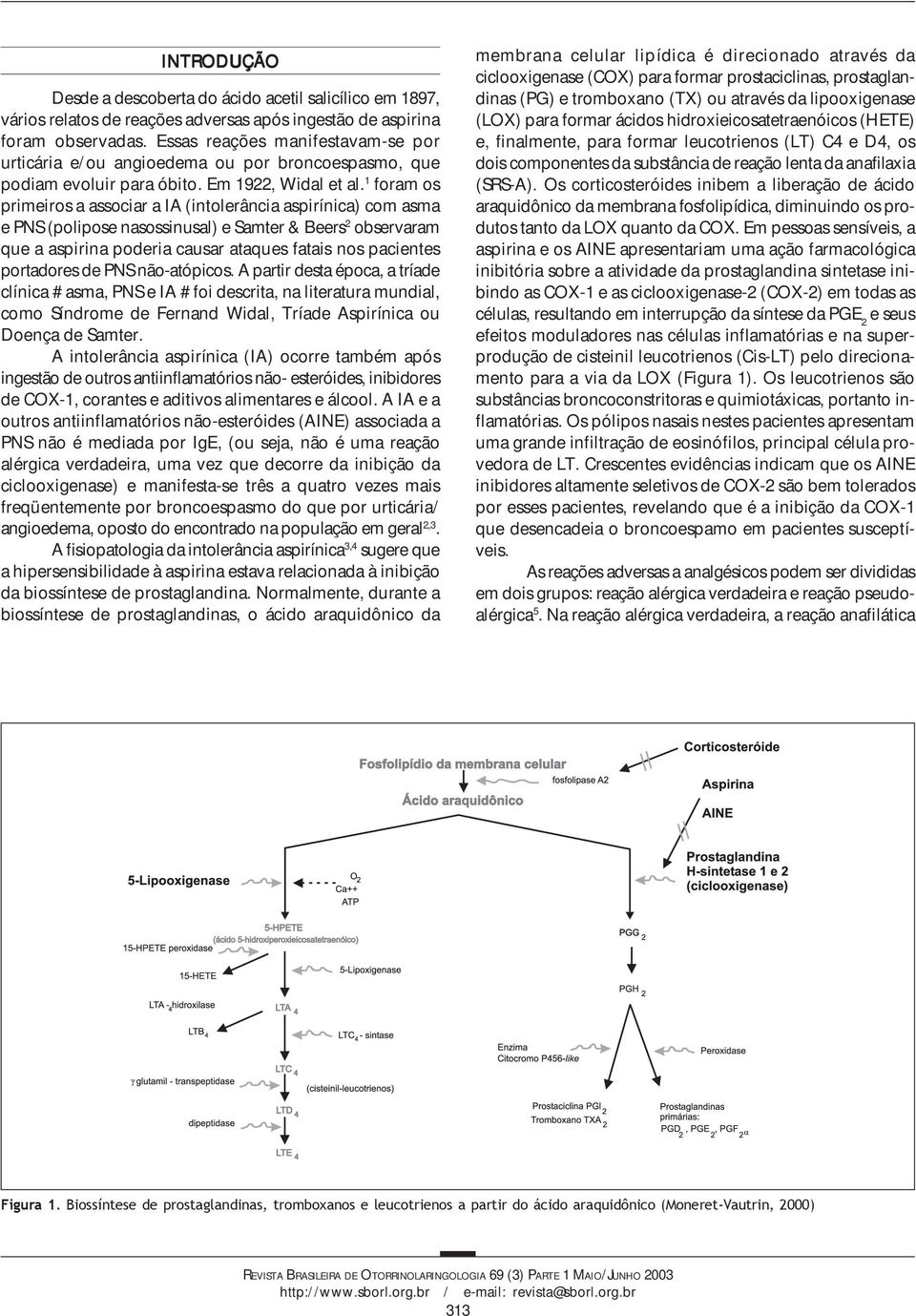 1 foram os primeiros a associar a IA (intolerância aspirínica) com asma e PNS (polipose nasossinusal) e Samter & Beers 2 observaram que a aspirina poderia causar ataques fatais nos pacientes